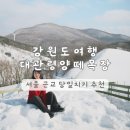 영아목장 | 강원도 여행 평창 | 대관령 양떼목장 추천 3대 목장 비교 서울 근교 아이와 가볼 만한 곳 예약 꿀팁