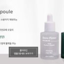 폴미라인