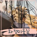 연아미용실 - 강릉시 임영로 59-1 | 화정역 미용실 레이어드 펌 디얼스 연아실장님 후기