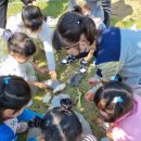 강구초등학교병설유치원 이미지