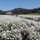 금산인삼랜드(대전) 이미지