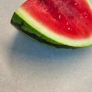 주공농장 이미지