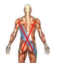 유기볼트 이미지