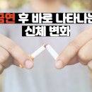 금연 후 바로 나타나는 신체변화 이미지