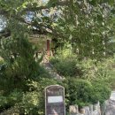 배재대학교부속유치원 이미지