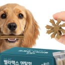 고려수제약 이미지