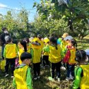 팜팜농장 이미지