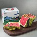 따순기미 이미지