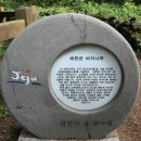 천년의 숲 화장실 | 비 오는 날 제주 비자림, 천년의 숲에서 힐링 여행