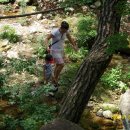 대자연횟집 이미지