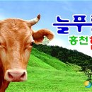 늘푸름농장 이미지
