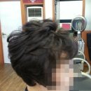 엠스헤어 이미지