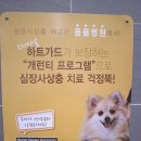 하트동물메디컬센터 이미지