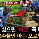 평지