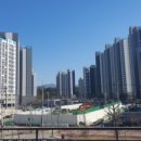 현대 사원아파트 앞 공원 이미지