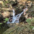 당정골계곡 이미지