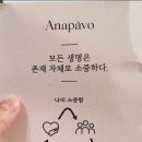 아나문구