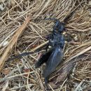 미도농장 이미지