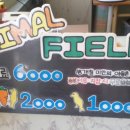 애니멀필드2 이미지