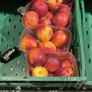 유일할인마트 | 덴마크 네토 (Netto) 마트 방문 후기. (+ 판트 pant이용 방법)