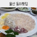 동이횟집 - 고령군 시장3길 10 | 울산 주전 선장님이 직접 잡아오는 동이횟집 후기❤️(feat.주차)
