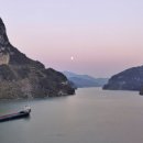 한장한코 이미지