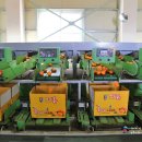 신효월라봉영농조합법인 이미지