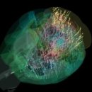 물의합창 이미지