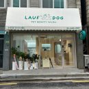 라우프독 이미지