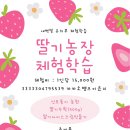 선민농장 이미지