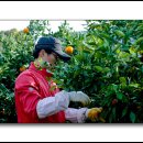 정환농장 이미지