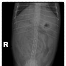 유앤동물의료원 이미지