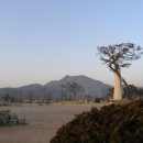 새천년생명의숲 이미지