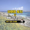 태안공인중개사사무소 이미지