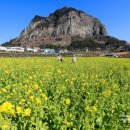 산방산의봄 이미지