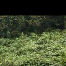 무창포카라반파크 이미지