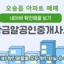 황금알공인중개사사무소 이미지