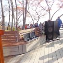 선학산전망대 이미지