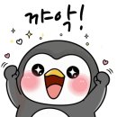 대구꽃집꽃길
