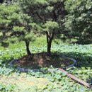 강풍경 파크 이미지