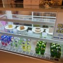 정원충전소 | 경기도 가평 실내 아이와 가볼만한 곳 베고니아새정원 후기