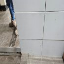 미지빌딩 이미지