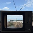 부림1길 | 번개로 제주도-3일차(카페한라산,오르머,안도르,수상한소금밭게스트하우스,오저여, 까르네)