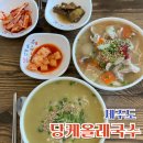 민속바지락칼국수 | [제주도 당케올레국수] 제주도 보말칼국수 맛집 내돈내산 찐 후기