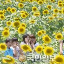 느티마을 이미지