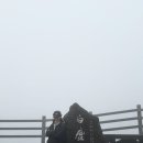 번영로R | 난 희수다! 김삼순이 아니다! (한라산 등반 후기 - 성판악 코스)