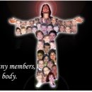 참된교회 이미지