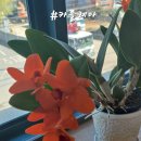 신도농협대덕지점 이미지