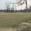 풍경공원 | 광주 가볼만한 곳|황룡강 친수공원 후기(산책명소, 풍경 진짜좋음)