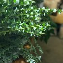 숙이농장 이미지